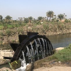 Wasserrad im Fayum