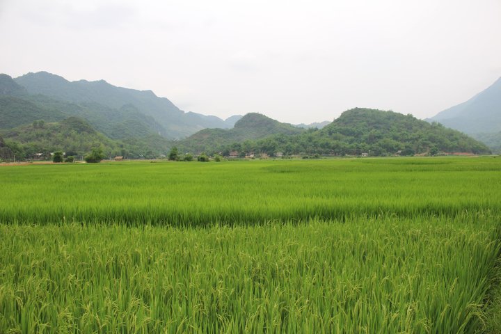 Little Sapa Vietnam Komplett