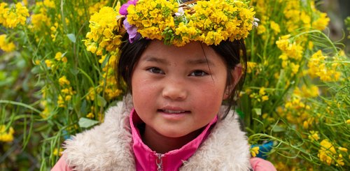 blühender Raps und Hmong Suoi Giang