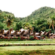 traditionelles Torajadorf Sulawesi