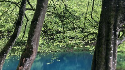 Der Blautopf - die wasserreichste Karstquelle Deutschlands, hier entspringt die Blau