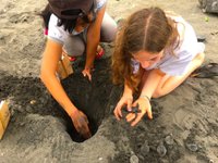 Schildkrötenschutzzentrum Bali