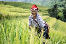 Topas Ecolodge Sapa  Wanderung