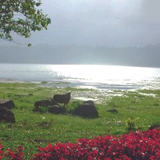 Lake Buyan Bali