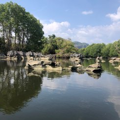 Sulawesi Karstlandschaft Rammang Rammang