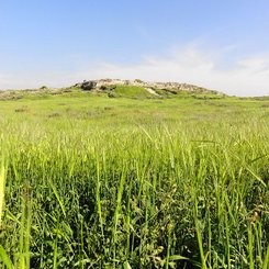 Tel Lachish Panorama 