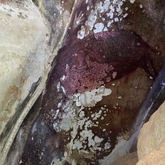 Sulawesi Hoehlenmalerei Darstellung eines Hirschebers und Haende in der Region Maros