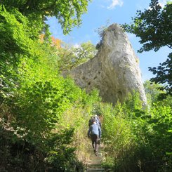 Stufen am Weg zum Geissenkloesterle Schwaebische Alb Achtal