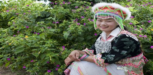 Dörfer, Minderheiten in Tracht, traditionelle Stämme und Tempel in Nordlaos