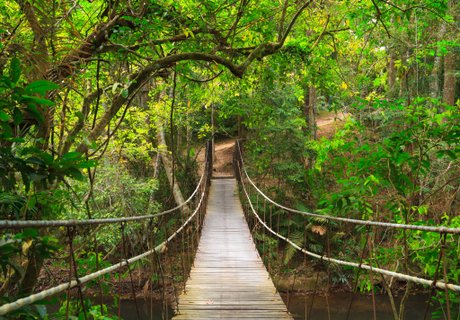 Khao Yai Nationalpark Thailand