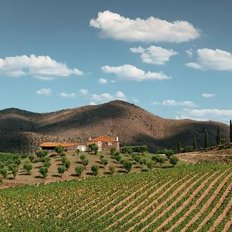 Quinta de Ervamoira, Weinmuseum, regionales Mittagessen
