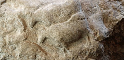 Auerochse Fourneau du Diable, Solutréenne, Musée national de Préhistoire Les Eyzies-de-Tayac