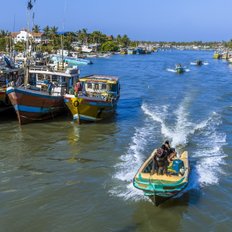 Fischerboote Negombo