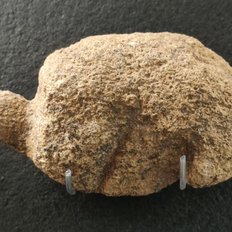 Schildkrötendarstellung aus Roc Saint-Cirq, Magdalénien, Musée National Les Eyzies de Tayac