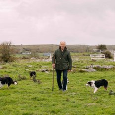 Caherconnell, Stone Fort and Sheepdog Demonstrations, Co Clare
