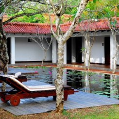 Ayurveda Sri Lanka Wellness