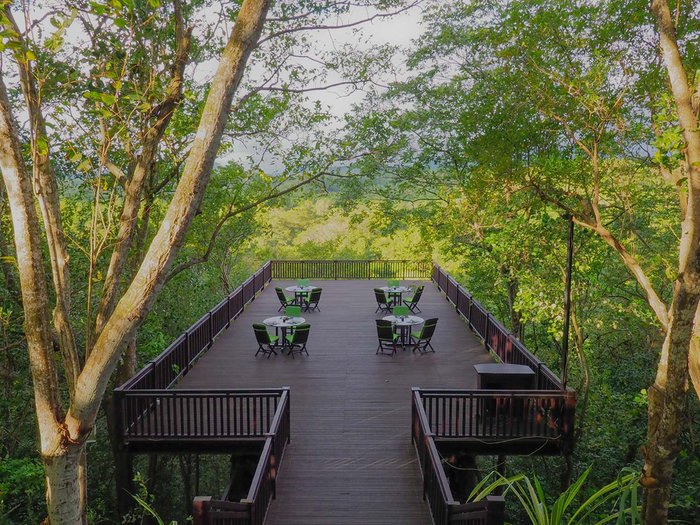 Essen umrahmt von Baumkronen - The Menjangan Bali