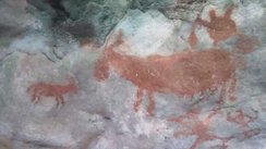 Sulawesi Insel Muna - Leang Metaduno und Leang Kabori unzählige Felsmalereien