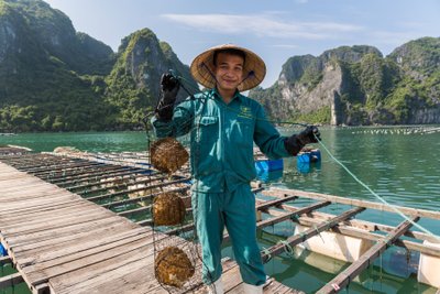 Heritage Line Ausflug zur Perlenfarm in der Halong Bay