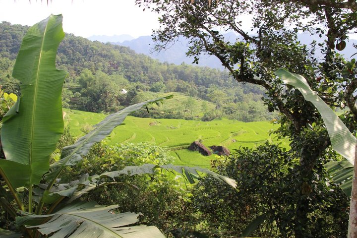 Reisterrassen, ursprüngliche Landschaft, Minderheiten - Mai Chau "Little Sapa" in Vietnam