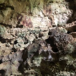 Sulawesi Leang Leang Höhlenmalerei