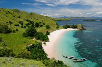 Komodo wird geschlossen - auch auf anderen Inseln leben einige der seltenen Warane