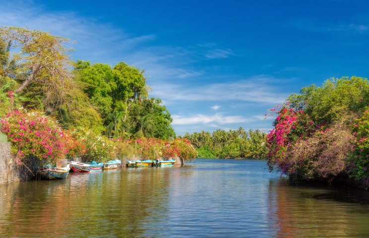 Negombo Dutch Canal
