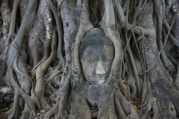 Wat Mathathad Ayutthaya