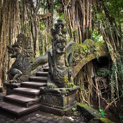Drachenbruecke im Affenwald bei Ubud