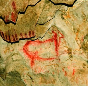Cueva del Pindal steinzeitliche Bilderhöhle Nordspanien © Turismo Asturias Juan Arrojo