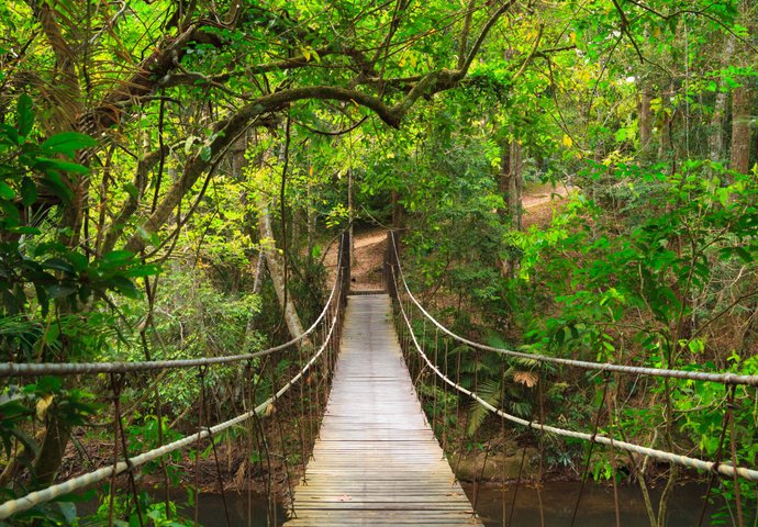 Khao Yai Nationalpark Thailand