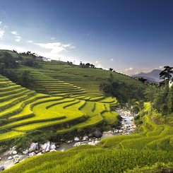 traumhafte Natur in der Region Suoi Giang