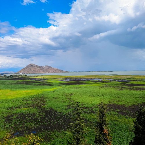 Shkodrasee