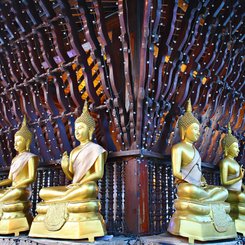 buddhistischer Malaka Tempel Colombo Sri Lanka