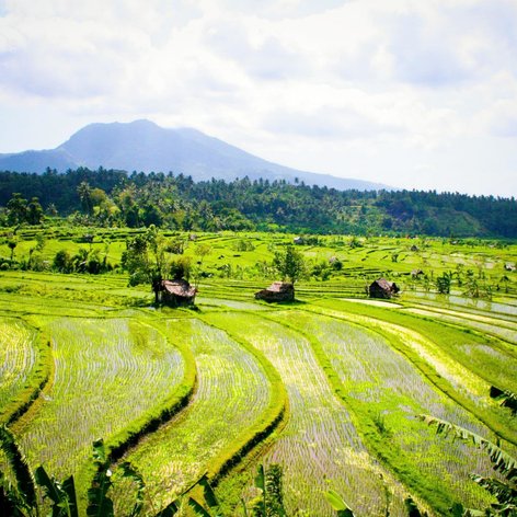 Bali Sidemen Reisterrassen Indonesien