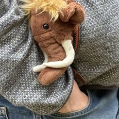 das Mammut immer dabei