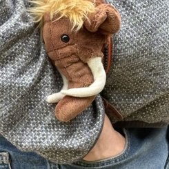 das Mammut immer dabei