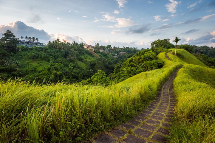 Bali Ubud Steinstrasse