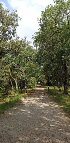 Landschaft bei der Höhle von Cougnac