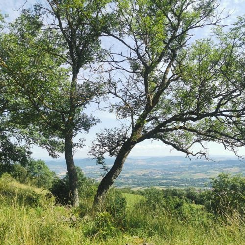 Aussicht Gergovia