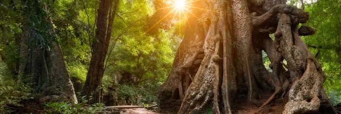 Kambodscha Rundreise - erleben Sie das Land mit allen Facetten