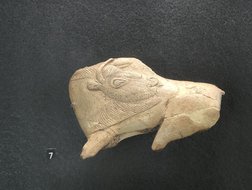 Bison im Museum von Les Eyzies - Dr. Ingmar Braun führt hier persönlich durch die faszinierende Ausstellung bei der Studienreise zu den steinzeitlichen Höhlen in Frankreich