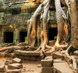 Ruinen in Angkor Kambodscha in Indochina Asien