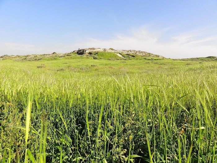 Tel Lachish Panorama 