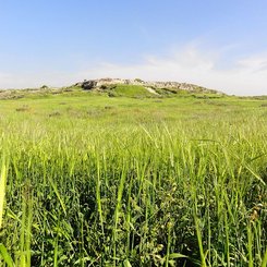 Tel Lachish Panorama 