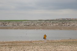 Guevercinkayasi Flamingos