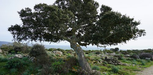 Landschaft Sardinien