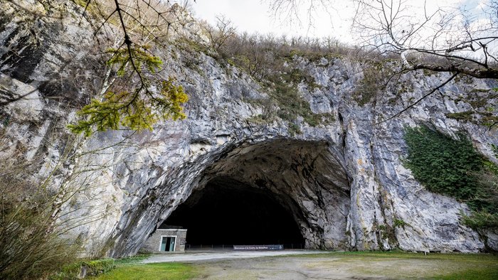 Grotte Bedeilhac © Stephane Meurisse 
