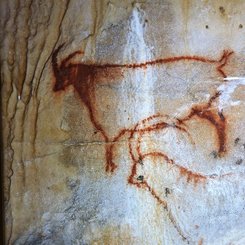 Darstellung aus Cougnac 