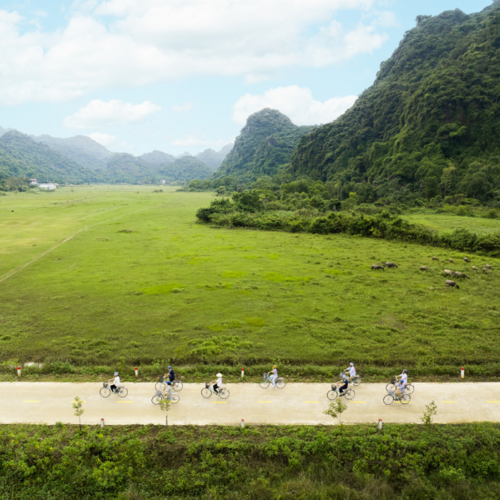 Ausflug mit dem Fahrrad - Ao Co Cruise